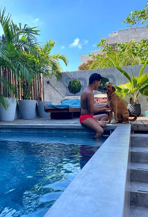 Lote4 - Lgbtq Studios Playa del Carmen Ngoại thất bức ảnh