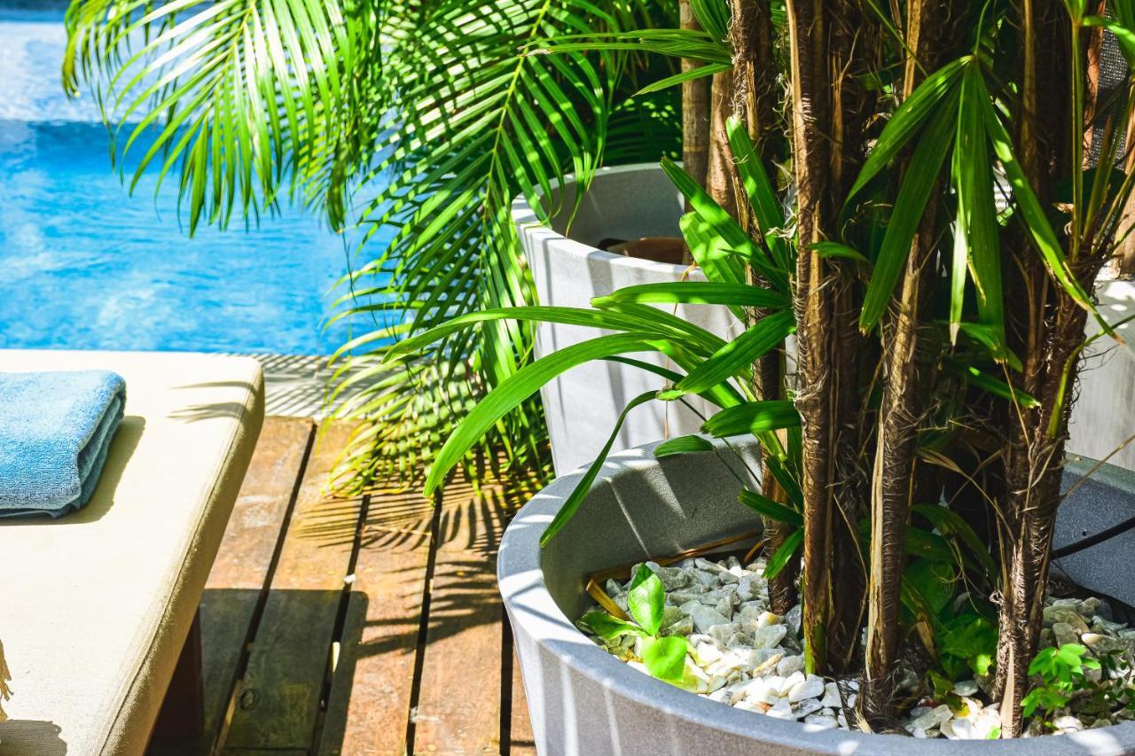 Lote4 - Lgbtq Studios Playa del Carmen Ngoại thất bức ảnh